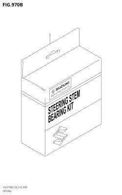 970B - OPTIONAL