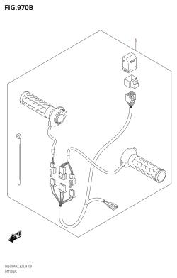 970B - OPTIONAL