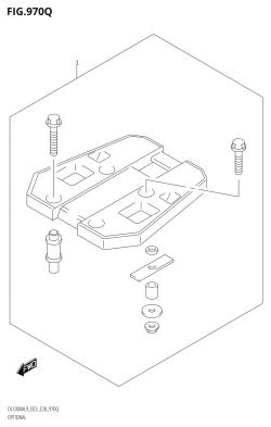 970Q - OPTIONAL
