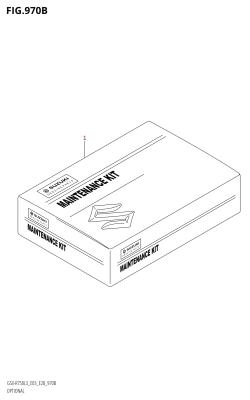 970B - OPTIONAL