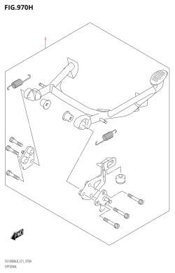 970H - OPTIONAL