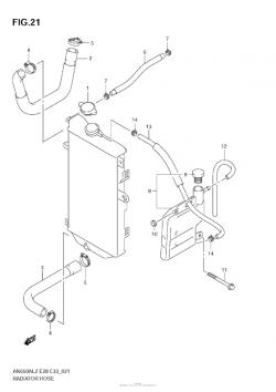 RADIATOR HOSE