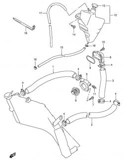 RADIATOR HOSE